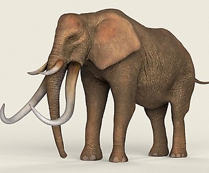 Game Ready Realistic Elephant