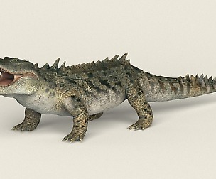 Game Ready Realistic Crocodile