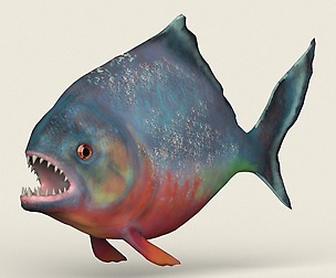 Game Ready Realistic Piranha Fish