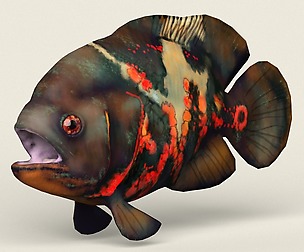 Game Ready Realistic Oscar Fish
