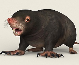 Game Ready Animal Mole
