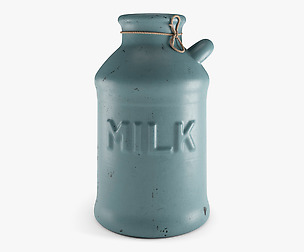 Old Milk Jug