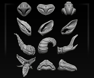 PMT-Facial Features