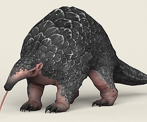 Game Ready Pangolin