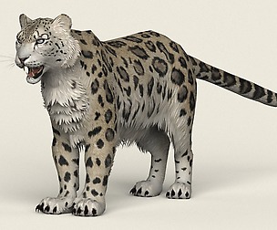 Game Ready Snow Leopard
