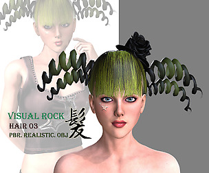 Visual Rock-Hair03