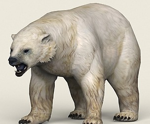 Game Ready Polar Bear