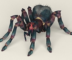 Game Ready Spider