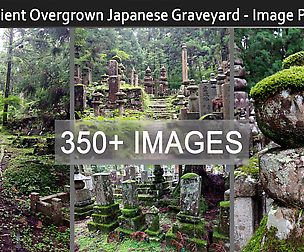 Ancient Overgrown Japanese Graveyard - Image Pack