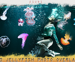 50 Jellyfish Overlays, download photo overlays