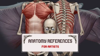 ANATOMY References For Artists cover