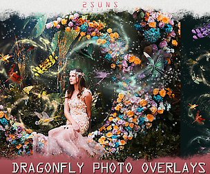 Dragonfly overlays, PNG, Magic overlay
