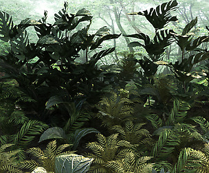 Set tropical plants 10 types