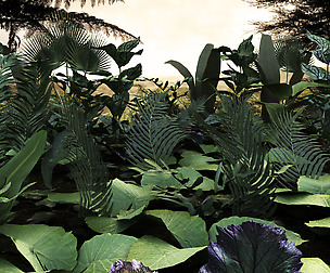 Set tropical plants 10 types