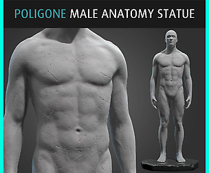 Poligone - Anatomy Male Statue