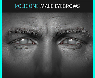 Poligone Male Eyebrows