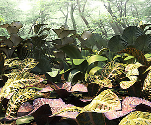 Set tropical plants3 12 types