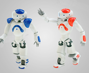 Robot Nao