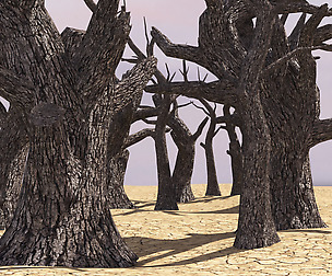Charred trees 5 types