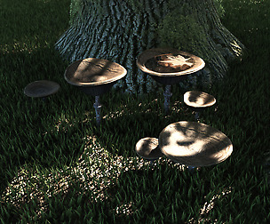 Fungus set 1 Low-poly