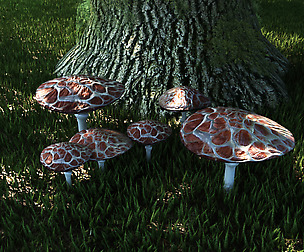 Fungus set 2 Low-poly