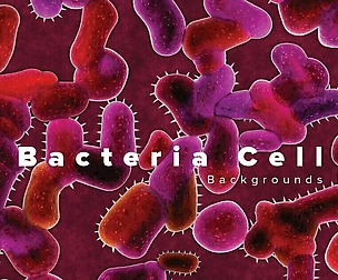 Bacteria cell backgrounds