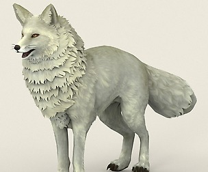 Game Ready White Fox