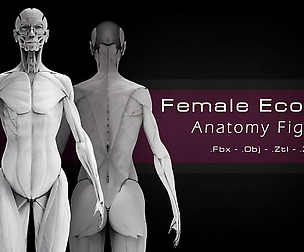 Female Ecorche - Anatomy Study