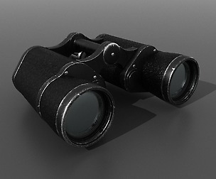 Binocular