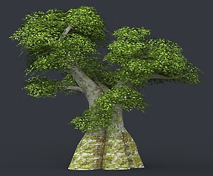 Tree 02
