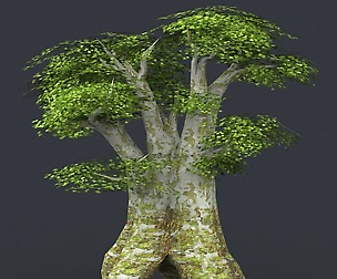 Tree 03