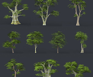 Tree Collection