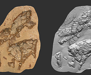 Photo Grametry Mesh Pack Beach Rock 0001