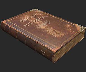Antique Book
