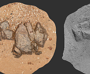 Photo Grametry Mesh Pack_Beach Rock_0016