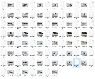 Photo Grametry Photo Pack_Firewood_0001