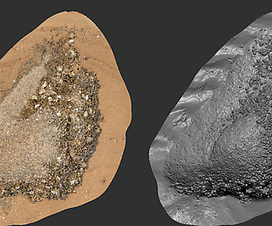 Photo Grametry Mesh Pack_Beach Rock_0003