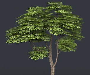 Low Poly Tree 12