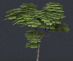Low Poly Tree 13