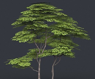 Low Poly Tree 14