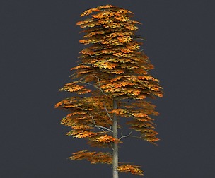 Low Poly Tree 15