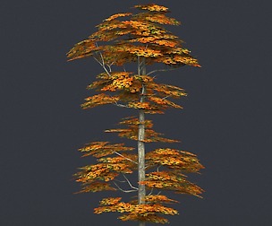 Low Poly Tree 16