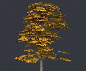 Low Poly Tree 17