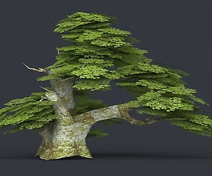 Low Poly Tree 18