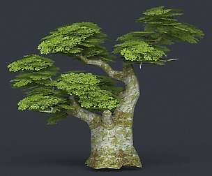 Low Poly Tree 19