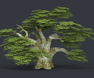 Low Poly Tree 20