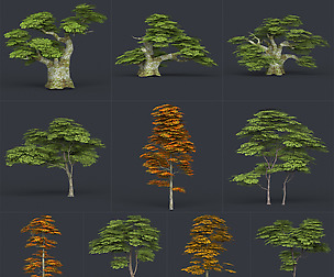 Low Poly 10 Tree Collection 02