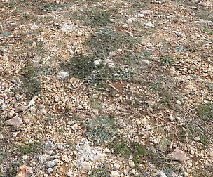 Ground terrain rough tundra PBR pack 1