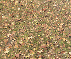 Ground terrain grass PBR pack 4