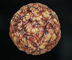 Flesh Material